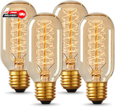 Vintage Edison Bulbs 40 Watt, Incandescent Light Bulbs, T45, 110-130 Volts, E26/ picture