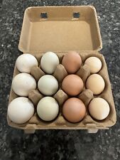 Vintage Square Style Egg Cartons - Set Of  10 Homestead, Backyard Chickens picture